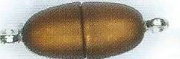 Polaris Magnetverschluss 21x9mm braun