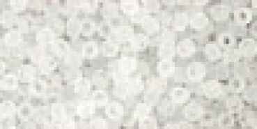 Toho 3,0mm (0001F)Transparent Frost Crystal ca19g