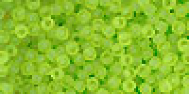 Toho 3,0mm (0004F) Transparent Frost Lime ca19g