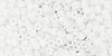 Toho 3,0mm (0041F) Opak White Frost ca19g