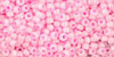 Toho 2,0mm (0909) Ceylon Cotton Candy 250g