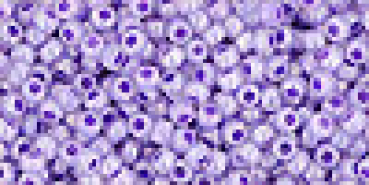 Toho 2,0mm (0922) Ceylon Gladiola ca20g