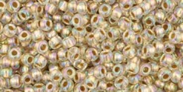 Toho 2,0mm (0994) Gold Lined Rainbow Crystal ca20g