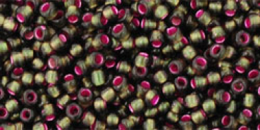 Toho 2,0mm (2204) Silv Lin Frosted Olivine Pink ca20g