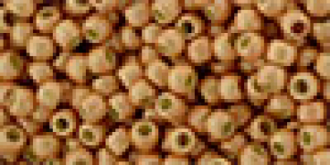 Toho 2,0mm (PF0551F) PF Rose Gold Ma ca20g