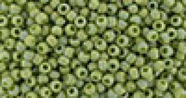 Toho 1,5mm (2632F) Sem Glaz Rb Honeydew ca8g