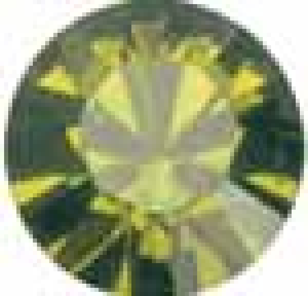 Swarovski Chaton SS39 Olivine gefass