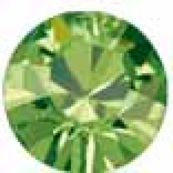 Swarovski Chaton SS39 Peridot