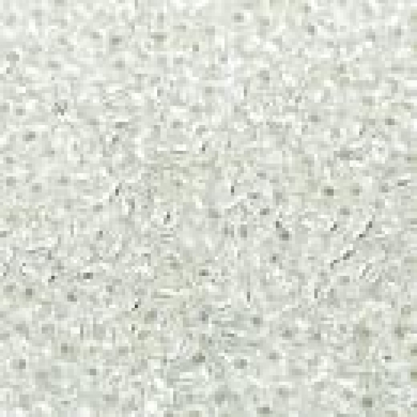 Miyuki 1,5mm (0001) Crystal Silver Lined ca8g