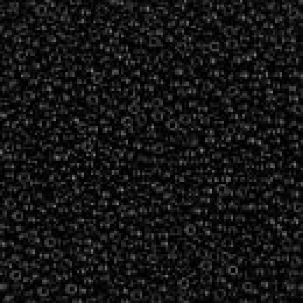 Miyuki 1,5mm (0401) Black ca8g