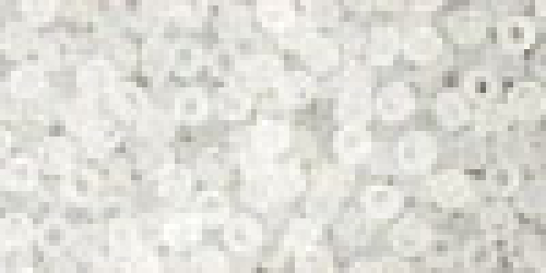 Toho 3,0mm (0001F)Transparent Frost Crystal ca19g
