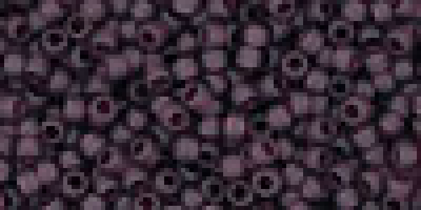 Toho 3,0mm (0006CF) Transp Frost  Amethyst ca19g