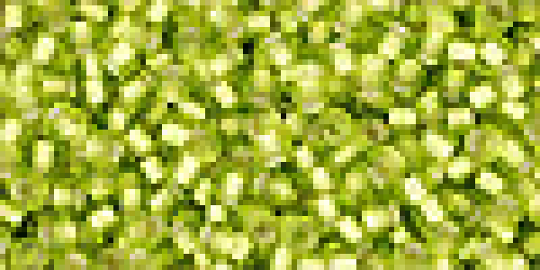 Toho 3,0mm (0024F) Silver Lined Frost Lime Green 250g