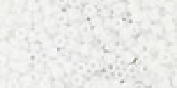 Toho 3,0mm (0041F) Opak White Frost ca19g