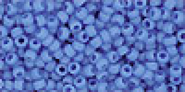 Toho 3,0mm (0043DF) Opak Cornflower Frost ca19g