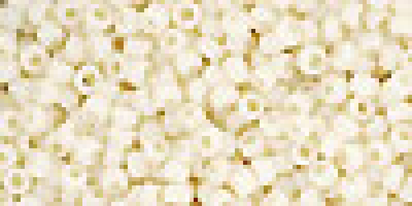 Toho 3,0mm (0051F) Opak Frost Light Beige ca19g