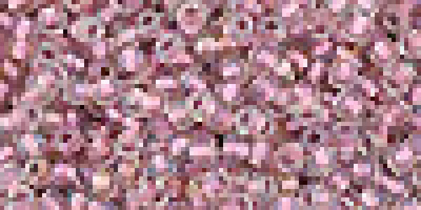 Toho 3,0mm (0267) Ins Col Crystal /Rose Lined ca19g