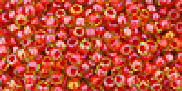 Toho 3,0mm (0303) IC Jonquil / Hyacinth Lin ca19g