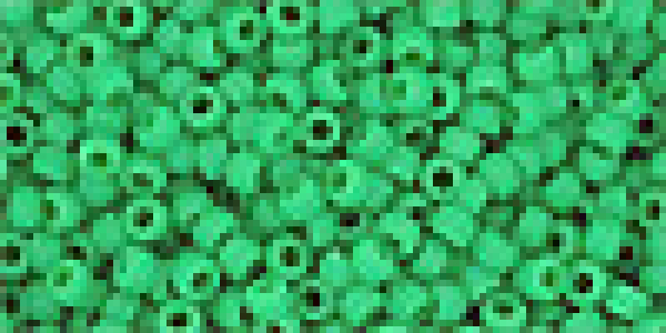 Toho 2,0mm (0047DF) Opak Frost Shamrock ca20g