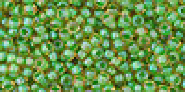 Toho 2,0mm (0393) IC Topaz / Opak Green ca20g