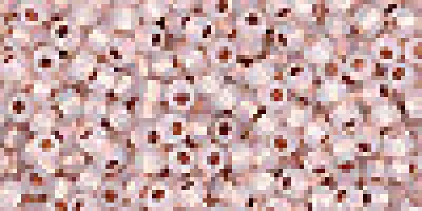 Toho 2,0mm (0711) Copper Lined Alabaster 250g