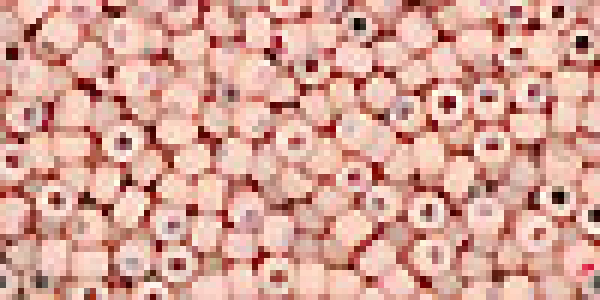 Toho 2,0mm (0764) Opak Pastell Frost Shrimp 250g