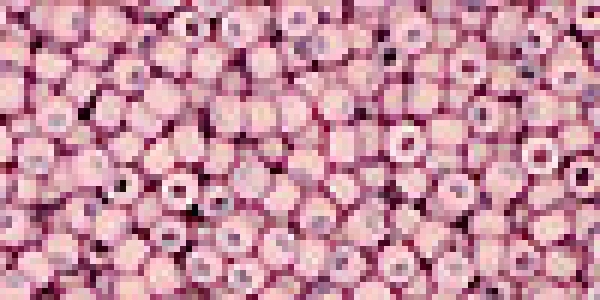 Toho 2,0mm (0765) Opak Pastell Frost Plumeria 250g