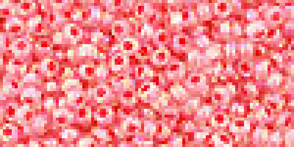 Toho 2,0mm (0779) Inside Color Rainbow Crystal / Salmon 250g