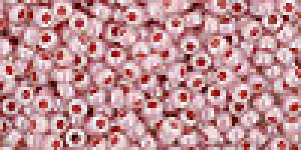 Toho 2,0mm (0907) Ceylon Petunia 250g