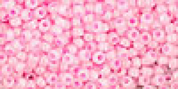 Toho 2,0mm (0909) Ceylon Cotton Candy 250g