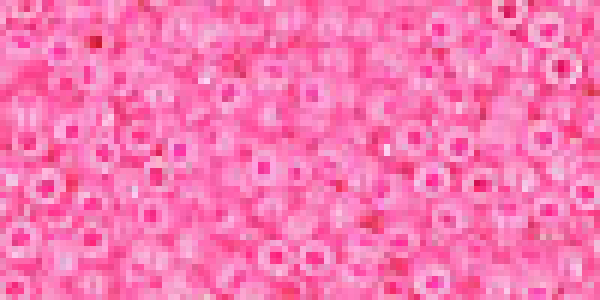 Toho 2,0mm (0910) Ceylon Hot Pink ca20g