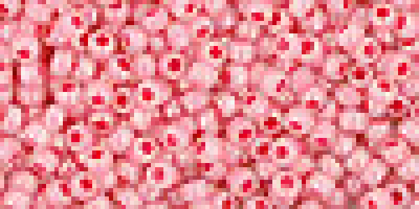 Toho 2,0mm (0911) Ceylon Impatiens Pink ca20g