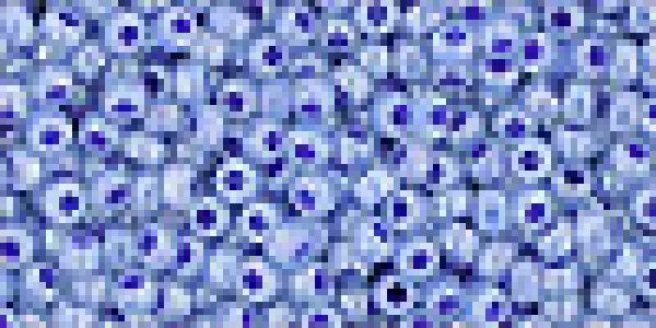 Toho 2,0mm (0917) Ceylon Denim Blue ca20g