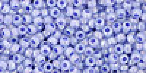 Toho 2,0mm (0921) Inside Color Rainbow Ceylon Virginia Bluebell  250g