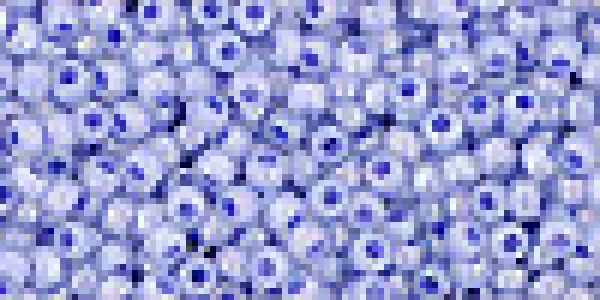 Toho 2,0mm (0921) IC Rb Cey Virginia Bluebell  ca20g