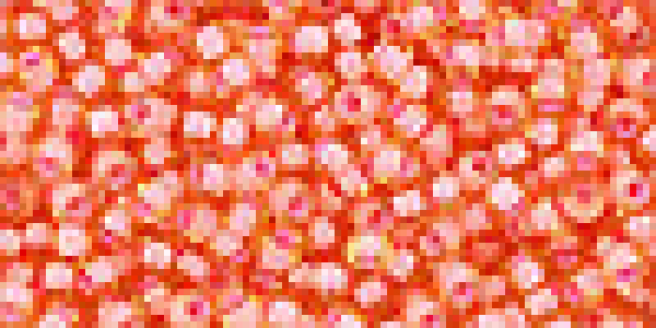 Toho 2,0mm (0925) IC Lt. Topaz / Cor Pink Lin ca20g