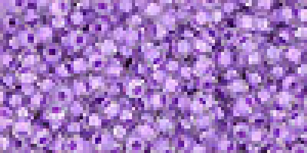 Toho 2,0mm (0935) Inside Color Crystal Whisteria Lined  250g