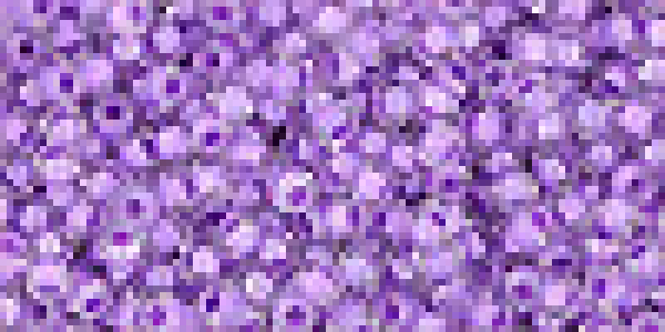 Toho 2,0mm (0935) IC Lt. Crystal whiteria Lined ca20g