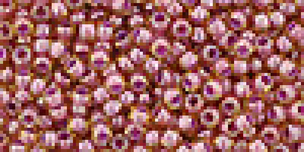 Toho 2,0mm (0960) Mauve Lined Amber ca20g