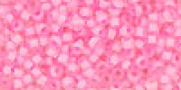 Toho 2,0mm (0969) Inside Color Crystal Neon Carnation 250g