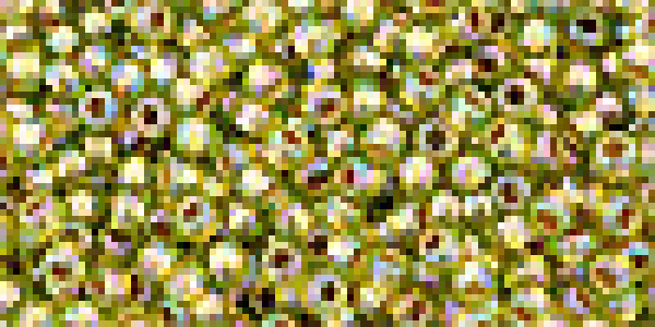 Toho 2,0mm (0996) Gold Lined Rainb Peridot 250g