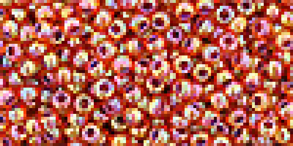 Toho 2,0mm (1825) Inside Color Rainbow Hyacinth /Opak Purple 250g