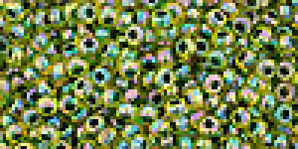 Toho 2,0mm (1829) Inside Color Rainbow Jonquil / Fore Lined 250g