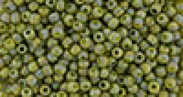 Toho 2,0mm (2631F) Semi Glazed Rb Olive ca20g