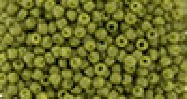 Toho 1,5mm (2601F) Semi Glazed Olive 100g